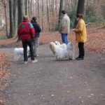 Weihnachtsfeier in Bochum Spaziergang