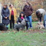 Weihnachtsfeier in Bochum Gruppenfoto Versuch