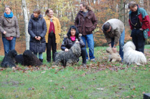 Weihnachtfeier 2011 der Landesgruppe West Gruppenfoto Versuch