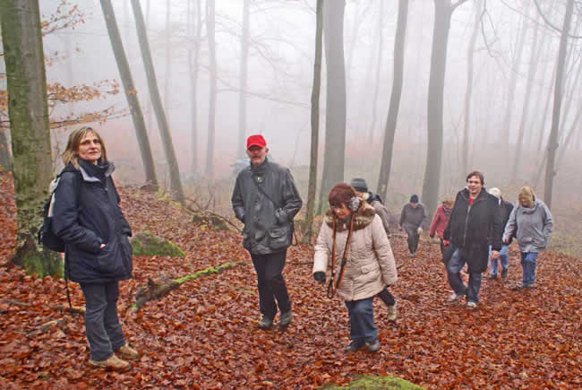 Herbstwanderung im Odenwald