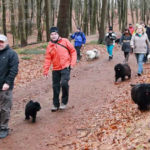 Winterwanderung 2013 im Odenwald