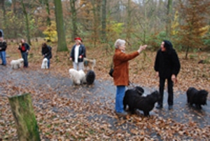 Jahresabschluss Wanderung 2008