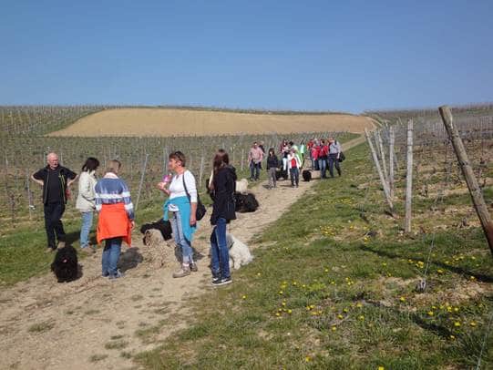 Frühlingswanderung der Landesgruppe Mitte in Gau Algesheim 15