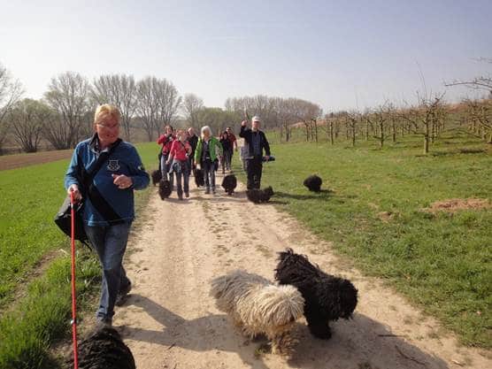 Frühlingswanderung der Landesgruppe Mitte in Gau Algesheim 14
