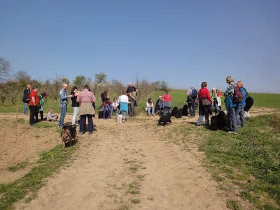 Frühlingswanderung der Landesgruppe Mitte in Gau Algesheim 13