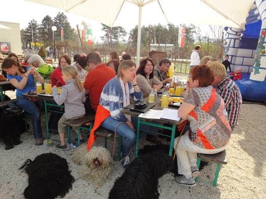 Frühlingswanderung der Landesgruppe Mitte in Gau Algesheim 1