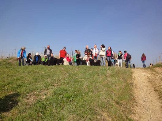 Frühlingswanderung der Landesgruppe Mitte in Gau Algesheim 9