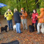 Herbstwanderung 2013 Wald