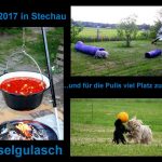 Einladung zum Spaziergang der LG Ost am 08_07_2017