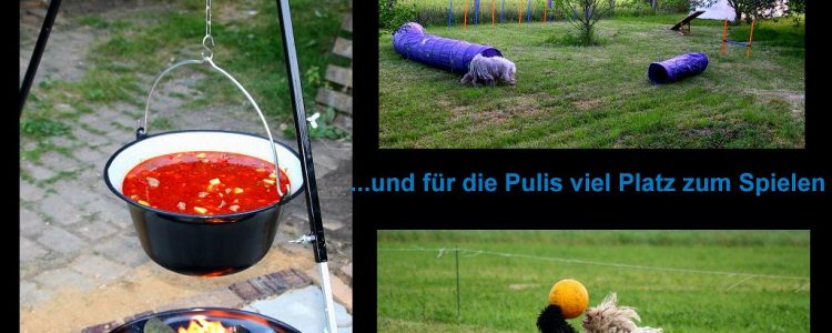 Puli Wochenende mit viel Spaß