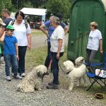 Puli Event Bad Sobernheim Selten Rassen Im Gespraech