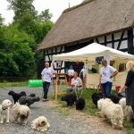 Tag der Tiere Bad Sobernheim Selten Rassen Puli Stand