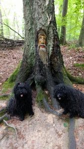 Baumgeist mit Puli
