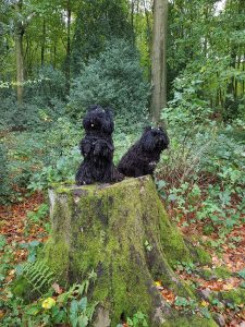 Puli Treffen in Bochum Waldpulis