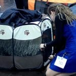 World dog show Leipzig 2018 Wo ist der Puli
