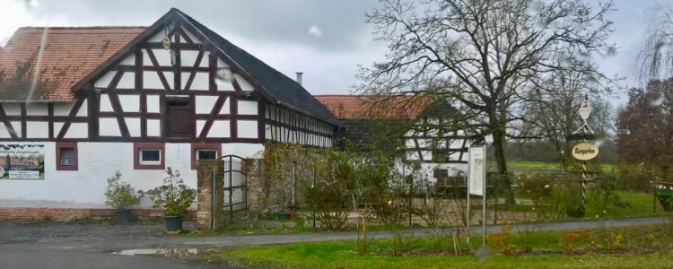 LG Mitte: Winterspaziergang rund um die Mühle