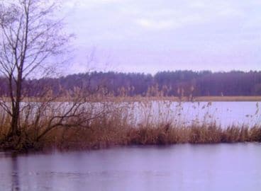 Puli Spaziergang LG Ost am Lugkteich in Brenitz-Sonnewalde