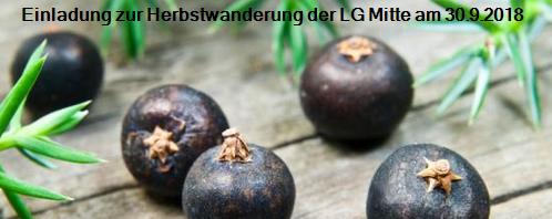 Am Tiergarten in Dillenburg-Donsbach