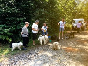 Tag der Tiere Gruppe