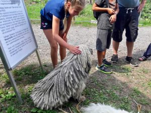 Tag der Tiere Kimi