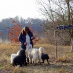 Neujahrstreffen der LG Ost 2019 Puli und Komondor